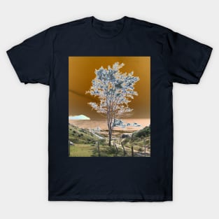 Lone tree under a golden sky T-Shirt